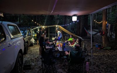 PXL_20240219_083436248